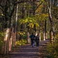Herbstimpressionen 2020 im Sielpark Bad Oeynhausen