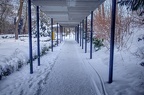 Winterimpressionen Kurpark Bad Oeynhausen 2021