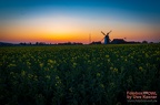 Bei der Windmühle Eickhorst / Hille zum Sonnenuntergang