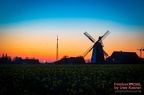 Bei der Windmühle Eickhorst / Hille zum Sonnenuntergang