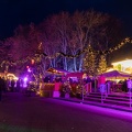 Kurpark und Weihnachtsmarkt Bad Oeynhausen 28-11-2021 (4 von 15)